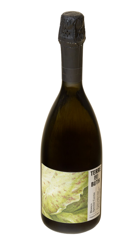 Flaske Frizzante Bianco Special Cuvee fra Terre dei Buth, okologisk og vegansk, hvide druer, Treviso, Veneto